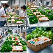 半成品净菜配送工厂，从供应链到客户满意度的全流程优化