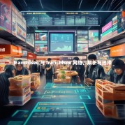 franchisee 与 franchisee 网络，解析与选择